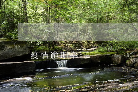 疫情逾期率 疫情逾期率