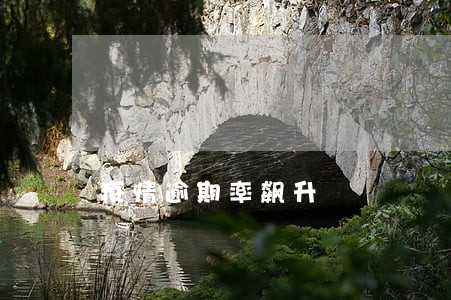 疫情逾期率飙升 疫情逾期率飙升