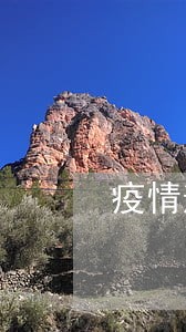 疫情逾期申报无法申报 疫情逾期申报无法申报