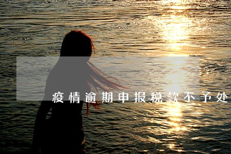 疫情逾期申报税款不予处罚 疫情逾期申报税款不予处罚