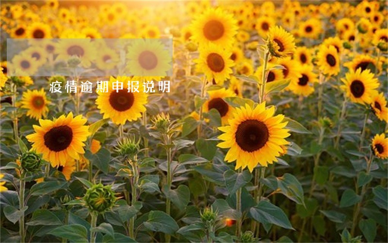 疫情逾期申报说明 疫情逾期申报说明