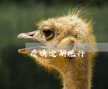 疫情逾期统计 疫情逾期统计