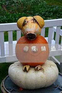 疫情逾期网贷天天打电话 疫情逾期网贷天天打电话