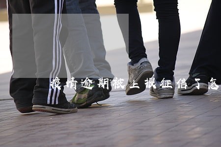 疫情逾期被上报征信了怎么修复 疫情逾期被上报征信了怎么修复