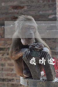 疫情逾期被上报征信了怎么办 疫情逾期被上报征信了怎么办