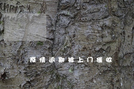 疫情逾期被上门催收 疫情逾期被上门催收