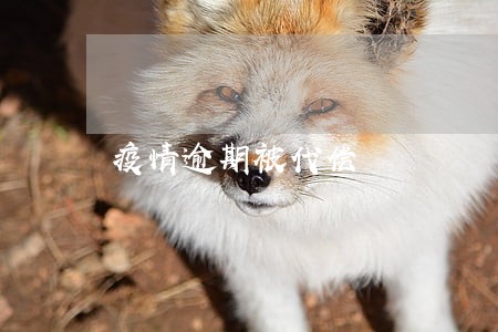 疫情逾期被代偿 疫情逾期被代偿