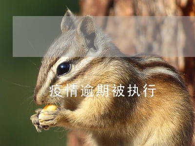 疫情逾期被执行 疫情逾期被执行
