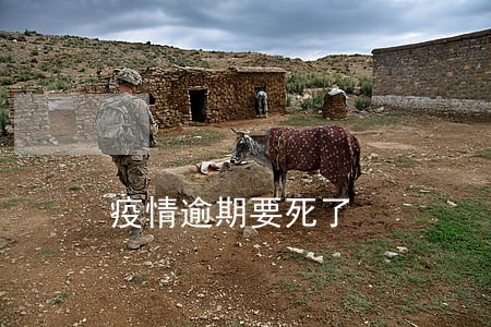 疫情逾期要死了 疫情逾期要死了