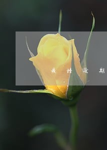 疫情逾期记录可以消除掉吗 疫情逾期记录可以消除掉吗