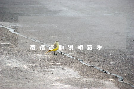 疫情逾期说明范本 疫情逾期说明范本