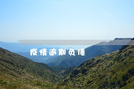 疫情逾期负债 疫情逾期负债