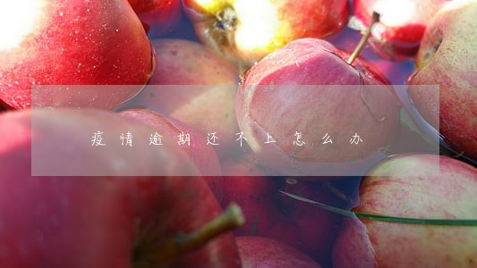疫情逾期还不上怎么办 疫情逾期还不上怎么办