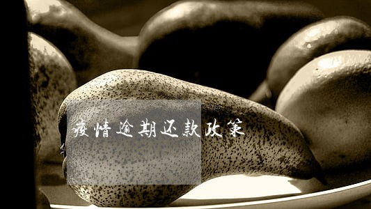疫情逾期还款政策 疫情逾期还款政策