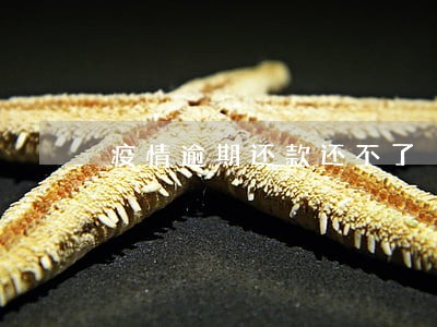 疫情逾期还款还不了 疫情逾期还款还不了