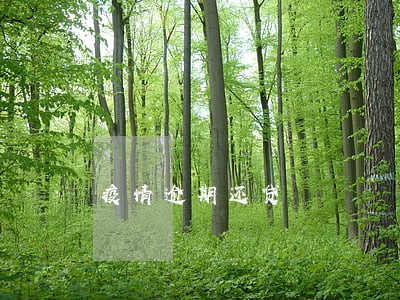 疫情逾期还贷 疫情逾期还贷