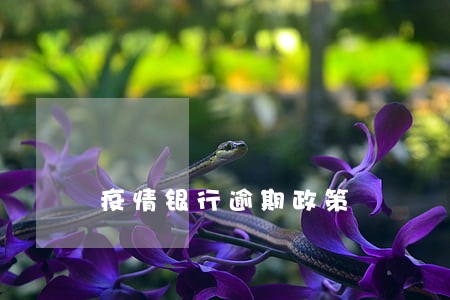疫情银行逾期政策 疫情银行逾期政策