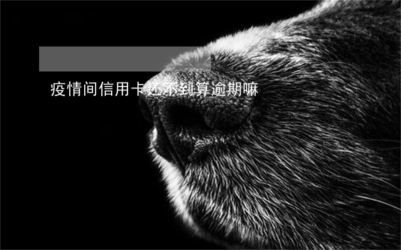 疫情间信用卡还不到算逾期嘛 疫情间信用卡还不到算逾期嘛