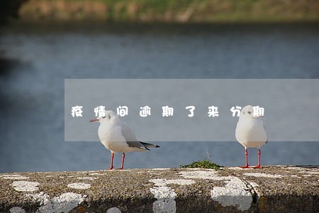 疫情间逾期了来分期