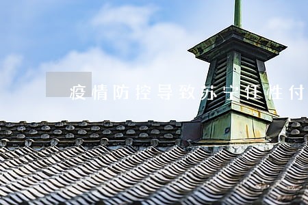 疫情防控导致苏宁任性付逾期 疫情防控导致苏宁任性付逾期