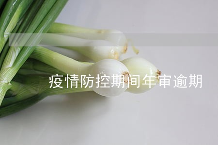疫情防控期间年审逾期 疫情防控期间年审逾期