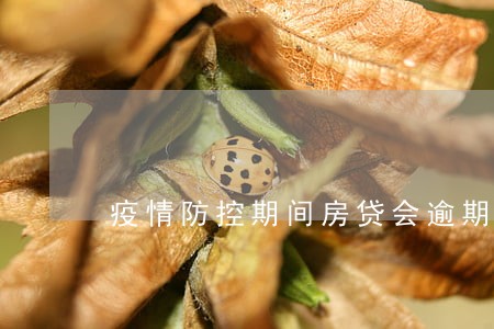 疫情防控期间房贷会逾期怎么办 疫情防控期间房贷会逾期怎么办