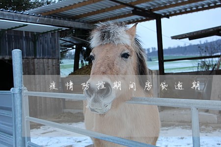 疫情防控期间房贷逾期 疫情防控期间房贷逾期