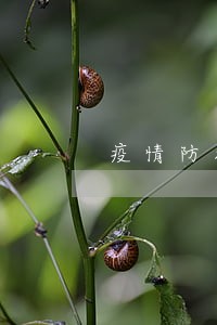 疫情防控期间机动车逾期检验 疫情防控期间机动车逾期检验