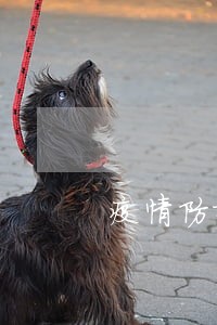 疫情防控法院体温测量 疫情防控法院体温测量