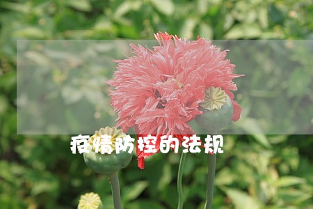 疫情防控的法规