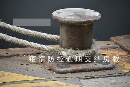 疫情防控逾期交纳房款 疫情防控逾期交纳房款
