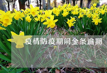疫情防疫期间金条逾期 疫情防疫期间金条逾期