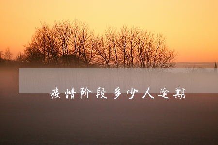 疫情阶段多少人逾期 疫情阶段多少人逾期