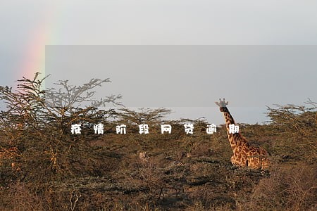 疫情阶段网贷逾期 疫情阶段网贷逾期