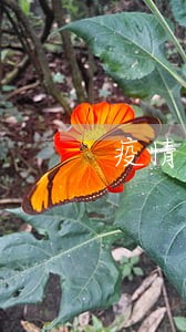疫情阶段网贷都逾期了怎么办 疫情阶段网贷都逾期了怎么办