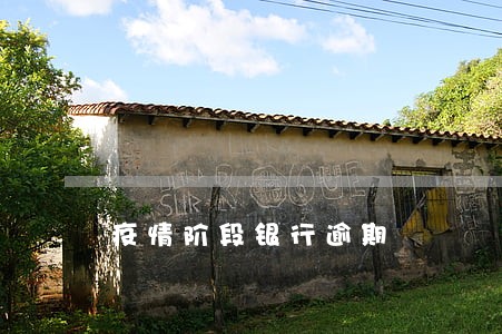 疫情阶段银行逾期 疫情阶段银行逾期