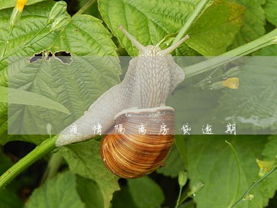 疫情隔离房贷逾期 疫情隔离房贷逾期