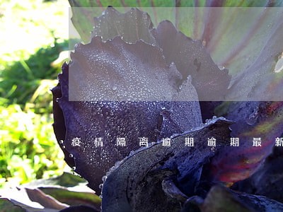 疫情隔离逾期逾期最新通告 疫情隔离逾期逾期最新通告