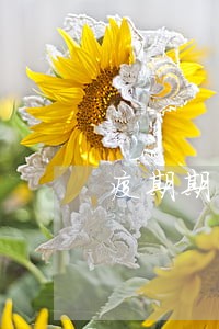 疫期期间的逾期规定 疫期期间的逾期规定