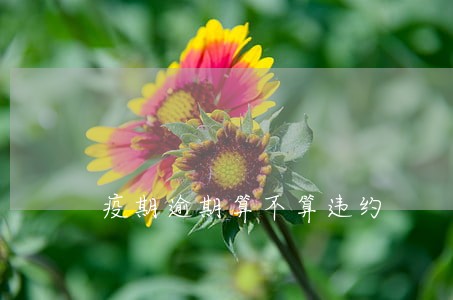 疫期逾期算不算违约 疫期逾期算不算违约