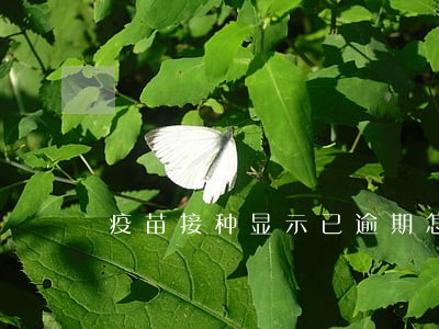疫苗接种显示已逾期怎么回事 疫苗接种显示已逾期怎么回事