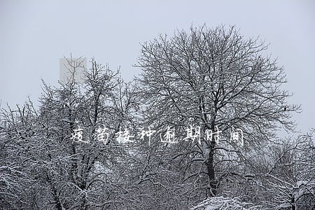 疫苗接种逾期时间 疫苗接种逾期时间