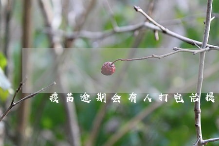 疫苗逾期会有人打电话提醒吗 疫苗逾期会有人打电话提醒吗