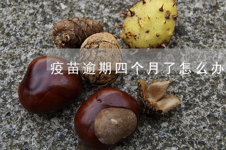 疫苗逾期四个月了怎么办 疫苗逾期四个月了怎么办