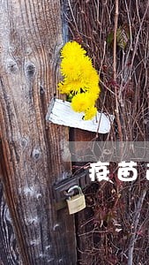 疫苗逾期是怎么计算的 疫苗逾期是怎么计算的