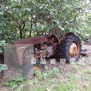 疫苗逾期是过了时间的意思吗 疫苗逾期是过了时间的意思吗