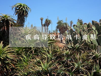疾病导致信用卡逾期 疾病导致信用卡逾期