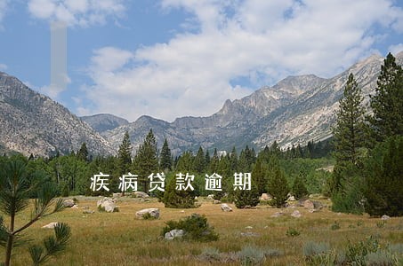 疾病贷款逾期 疾病贷款逾期