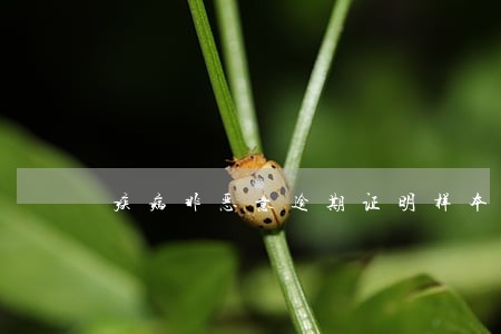 疾病非恶意逾期证明样本 疾病非恶意逾期证明样本
