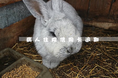 病人住院信用卡逾期 病人住院信用卡逾期